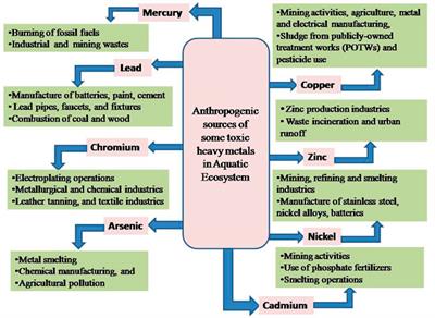 Effects of aquatic heavy metal intoxication on the level of hematocrit and hemoglobin in fishes: A review